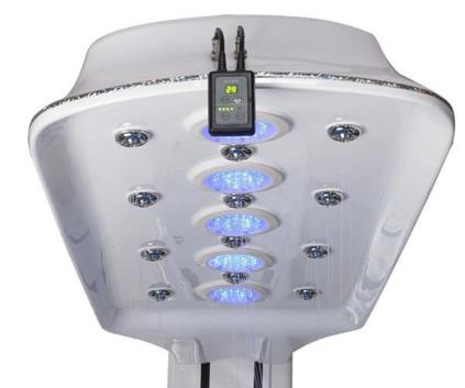 Vichy shower bed