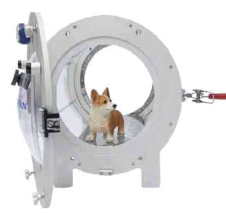 Vetsmart Animal Hyperbaric